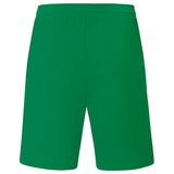 TSV - Zornheim Trainigsshort Manchester kurz | Jako